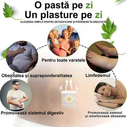 🐝ZVLZVL™ Venin de albine drenaj limfatic Slimming cataplasmă